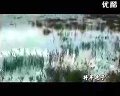 木兰围场坝上红山军马场(一)